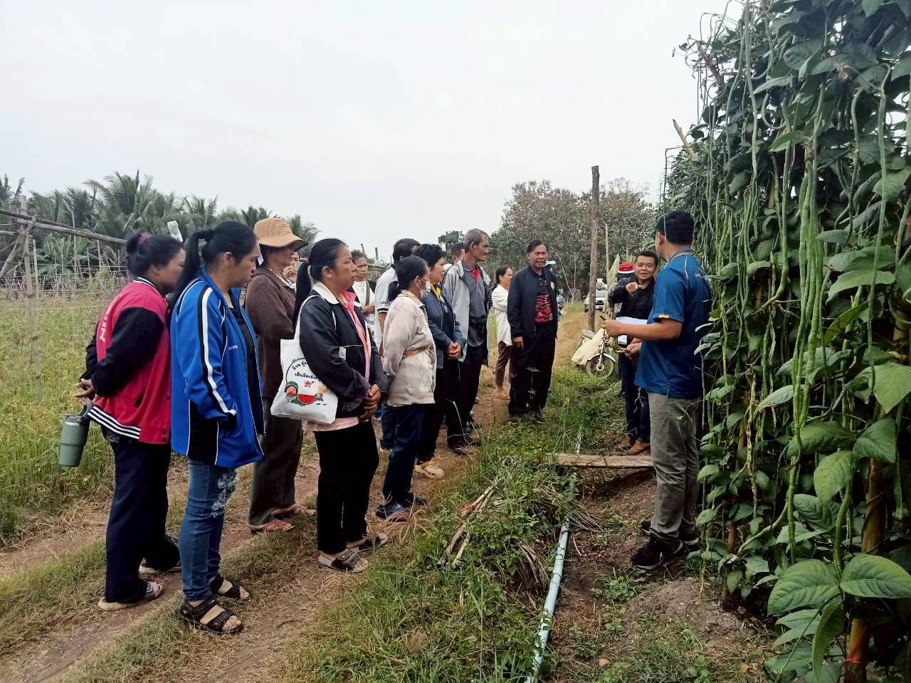title - ส.ป.ก.พิษณุโลก จัดฝึกอบรมเกษตรกรภายใต้โครงการระบบส่งเสริมการเกษตรแบบแปลงใหญ่ในเขตปฏิรูปที่ดิน ปีงบประมาณ พ.ศ. 2569 หลักสูตร “การศึกษาดูงานเพื่อพัฒนาทักษะและแลกเปลี่ยนประสบการณ์ด้านการผลิตเมล็ดพันธุ์พืชผัก”